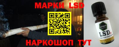 гидра Камышлов