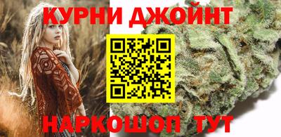 гидра Камышлов
