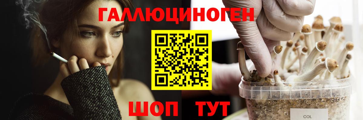 Псилоцибиновые грибы мицелий Дальнереченск